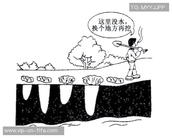 探索哄弊闱虮背后的秘密与启示，揭示其对社会的深远影响与思考